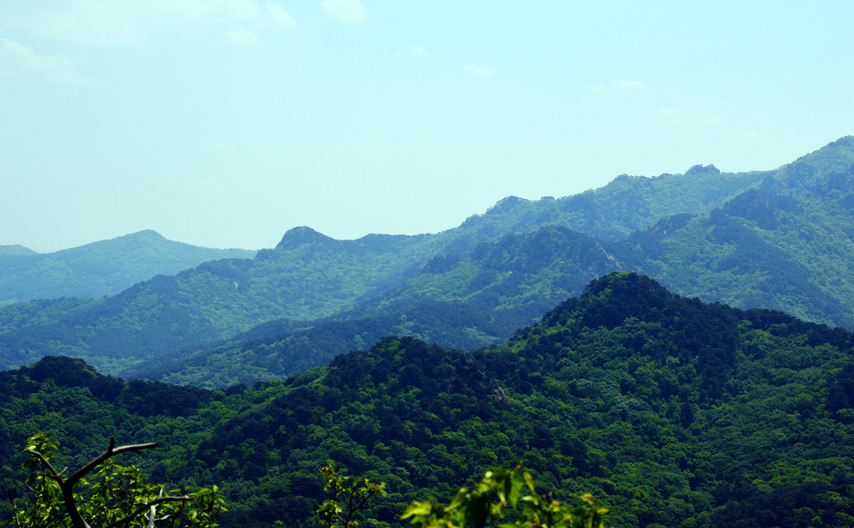致谢帖——《千山风光》