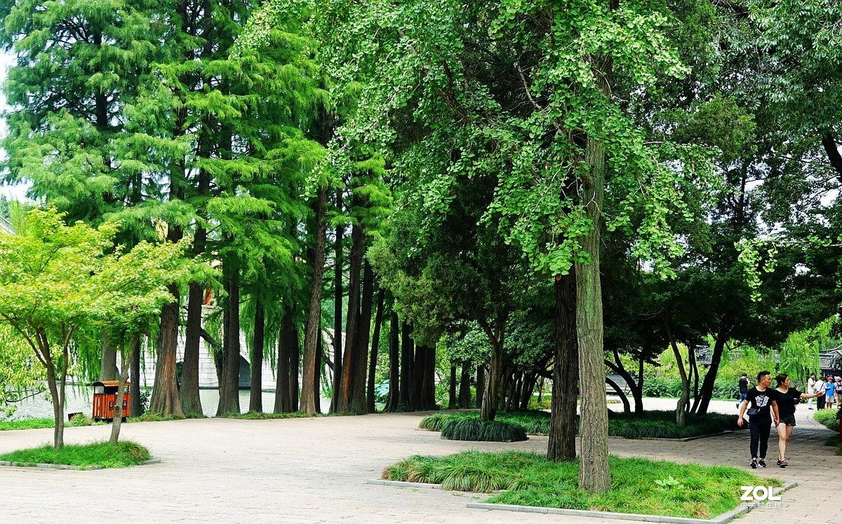 旅游--扬州瘦西湖风光《11》