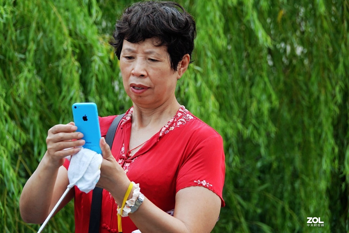 旅游--扬州瘦西湖风光《11》