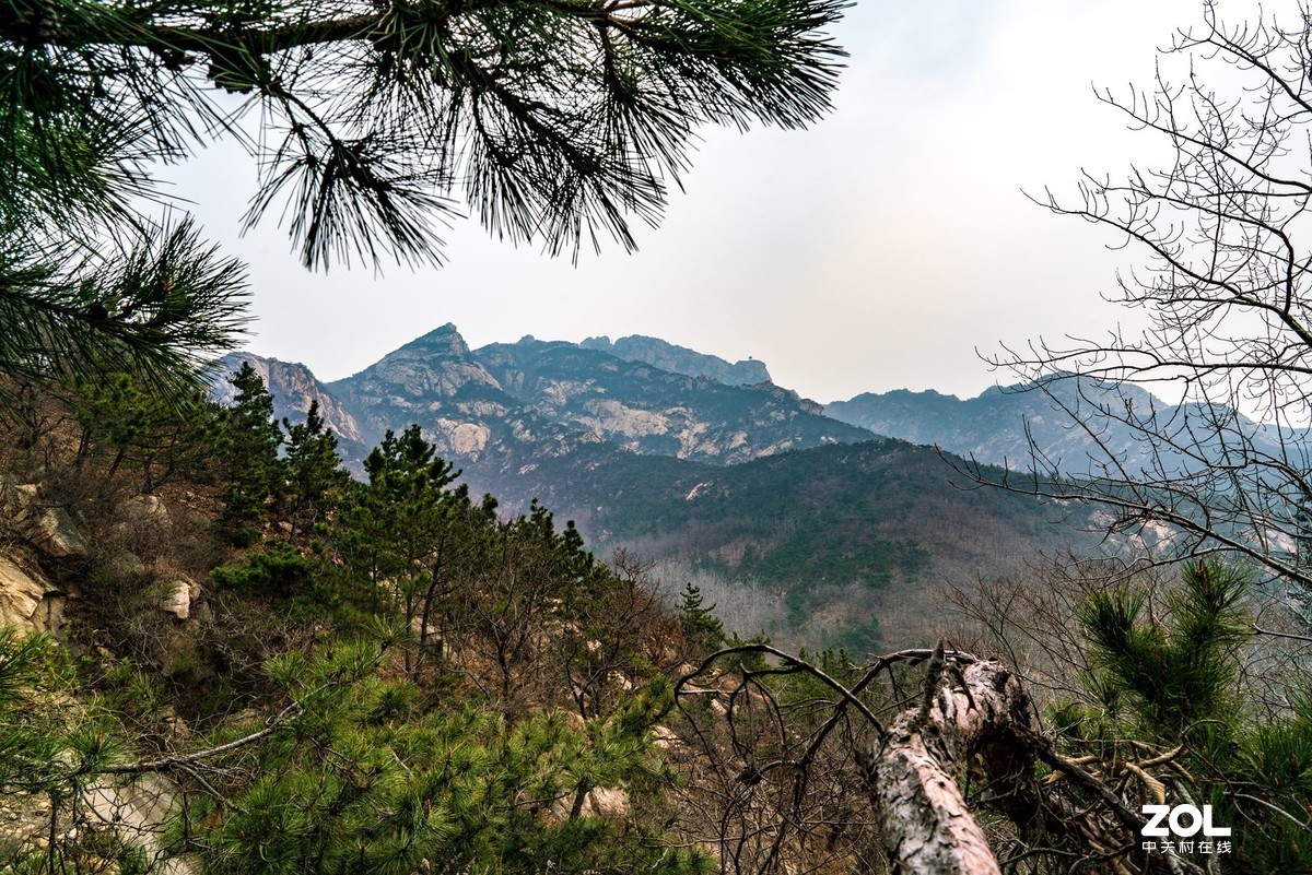 招远罗山国家森林公园（上山）