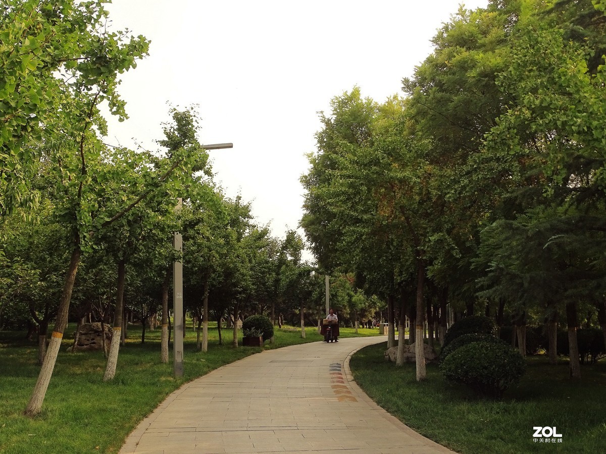 走走拍拍（2019.07.28-1）