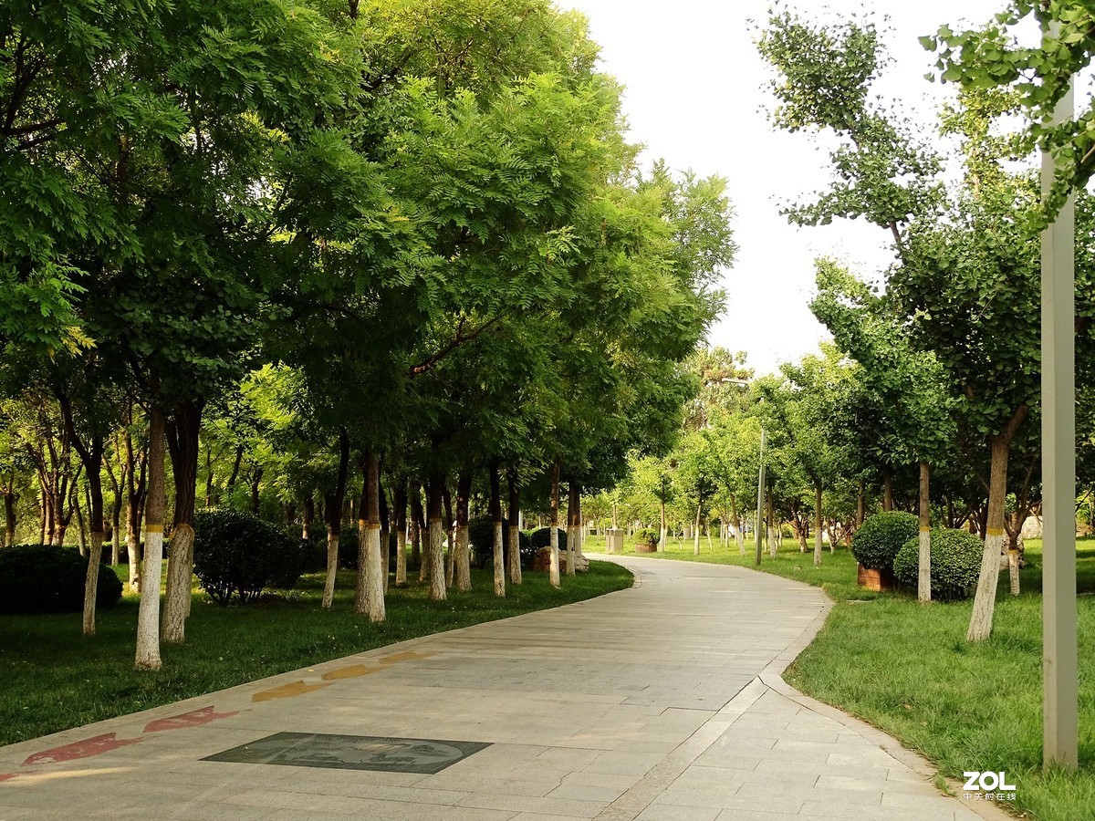 走走拍拍（2019.07.28-1）