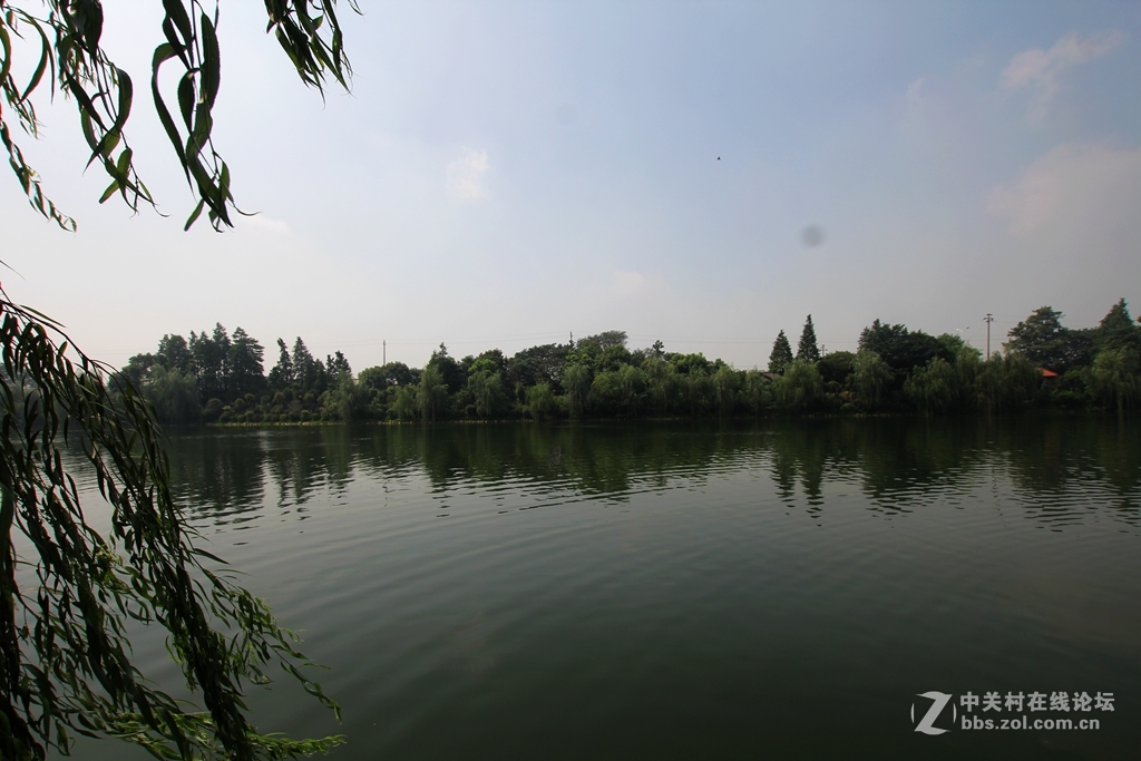 乔口鱼家都古镇------2