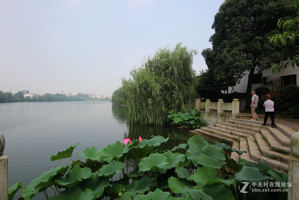 乔口鱼家都古镇------2