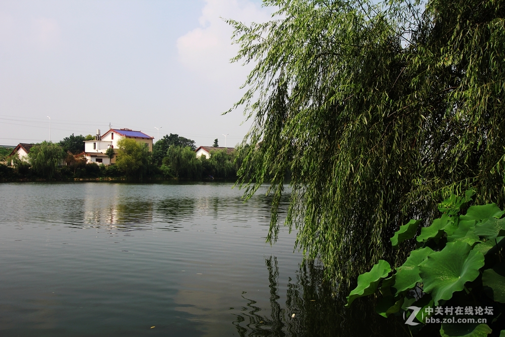 乔口鱼家都古镇------2