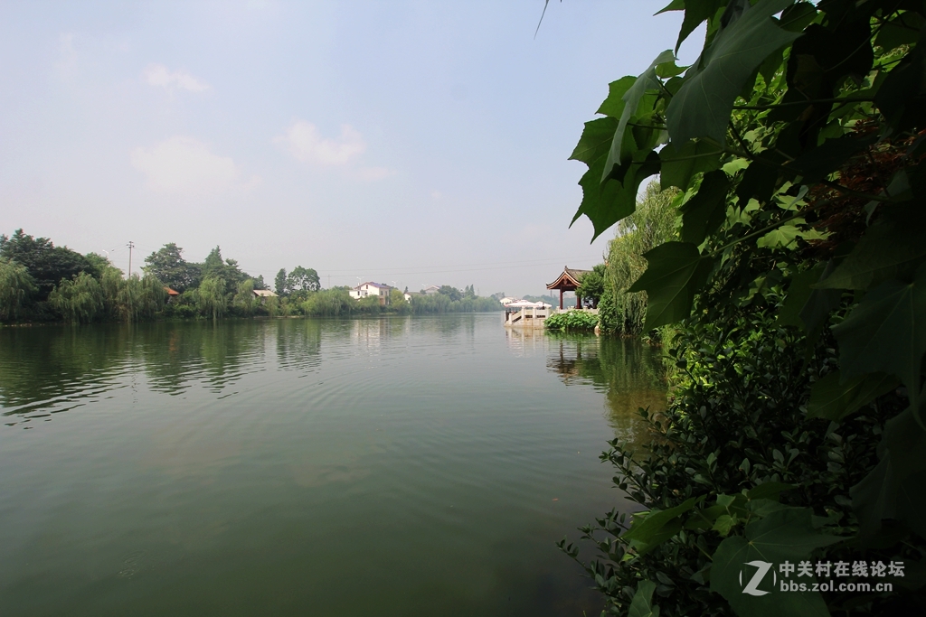 乔口鱼家都古镇------2