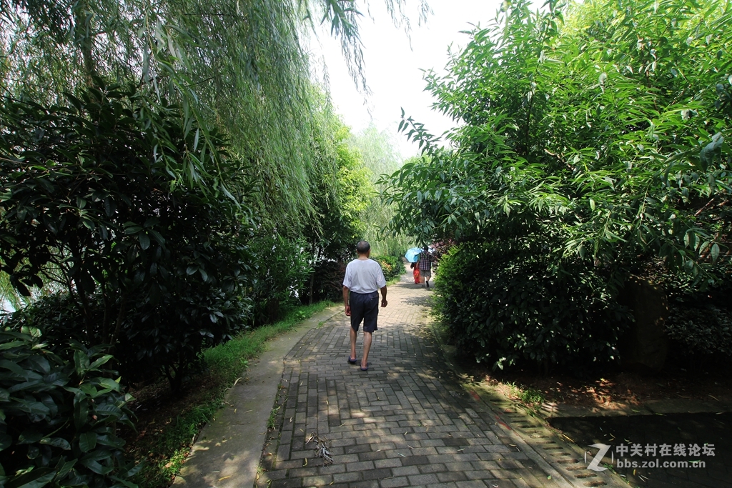 乔口鱼家都古镇------2