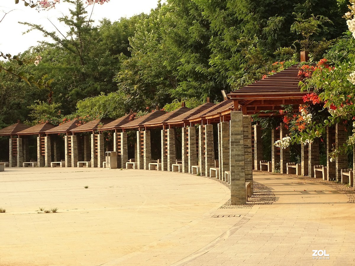 走走拍拍（2019.07.28-1）