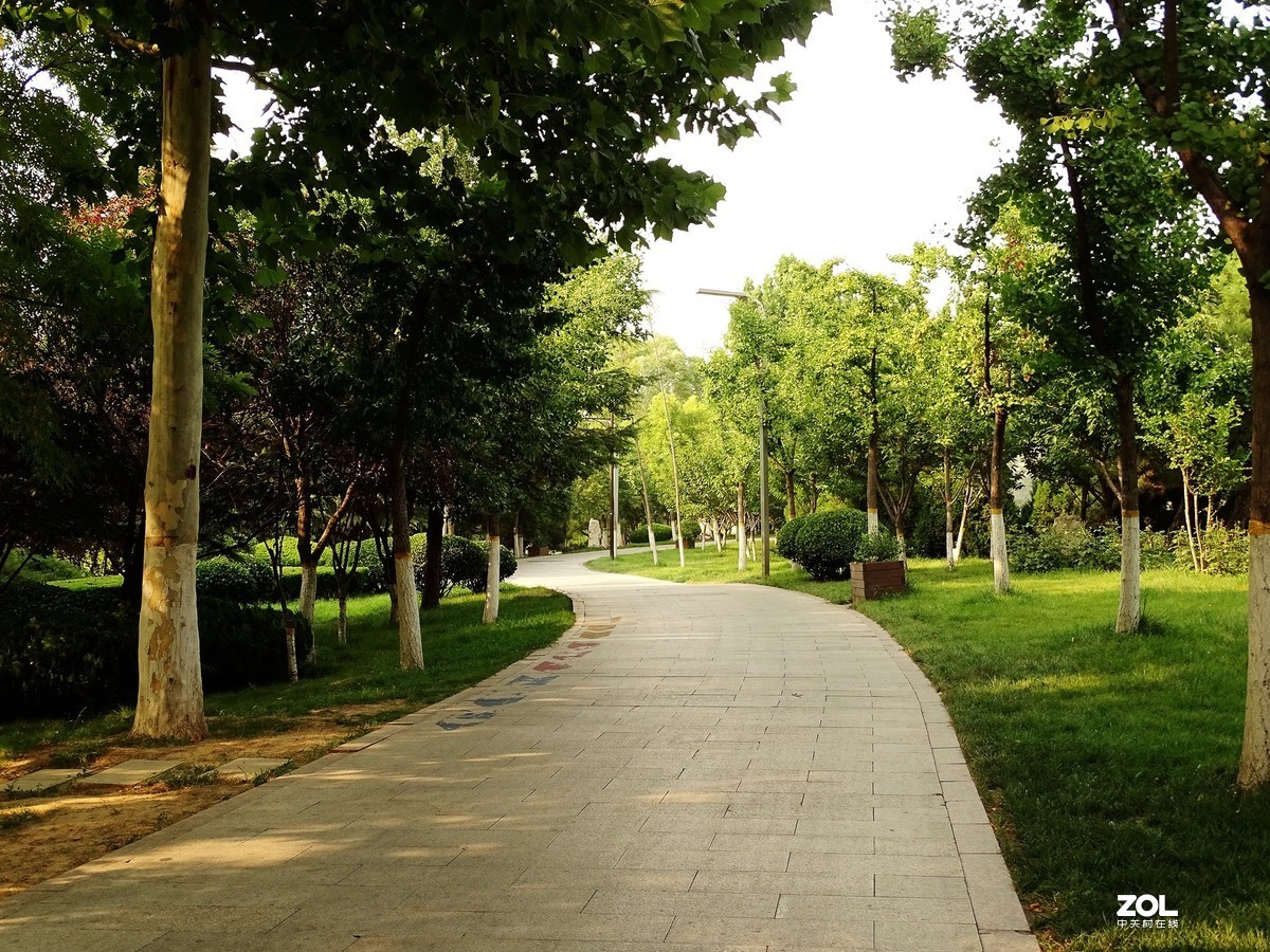 走走拍拍（2019.07.28-1）