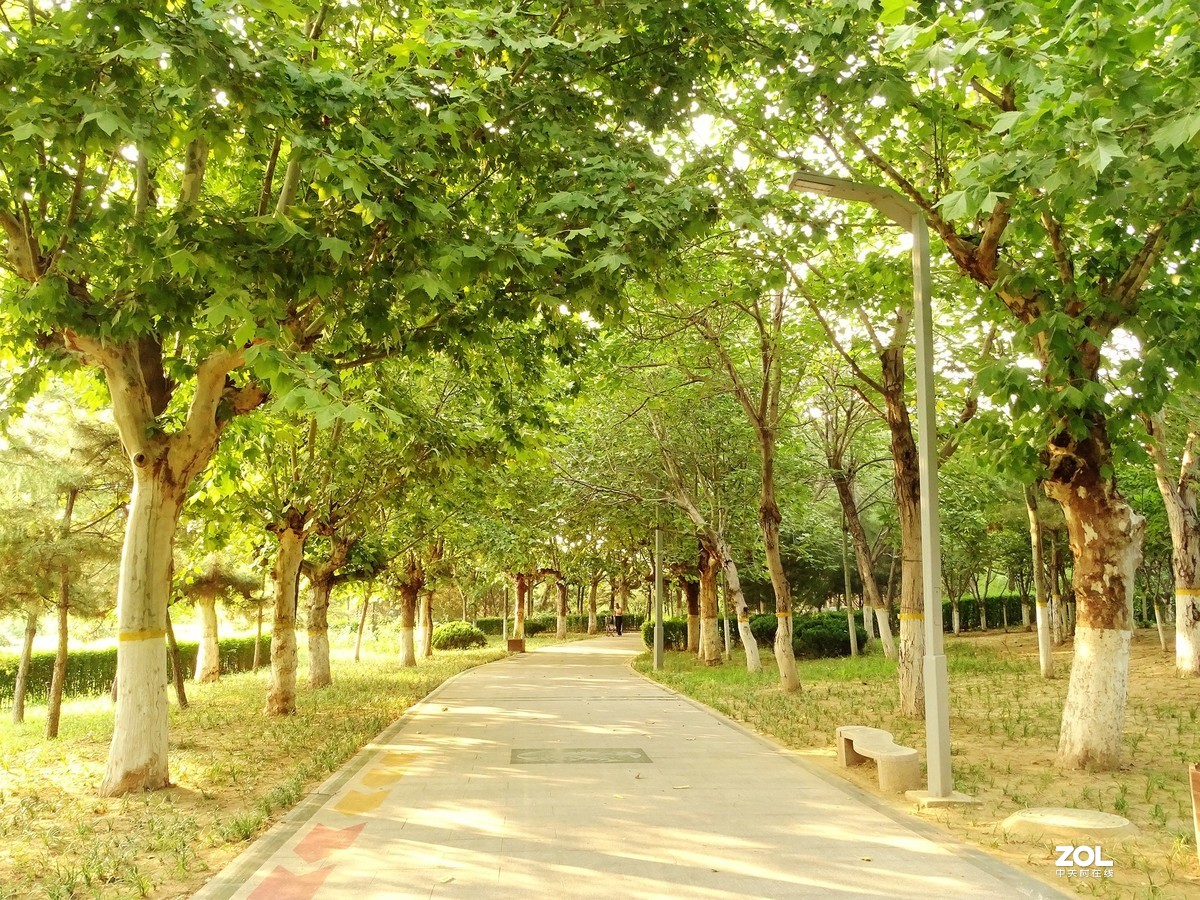 走走拍拍（2019.07.28-1）