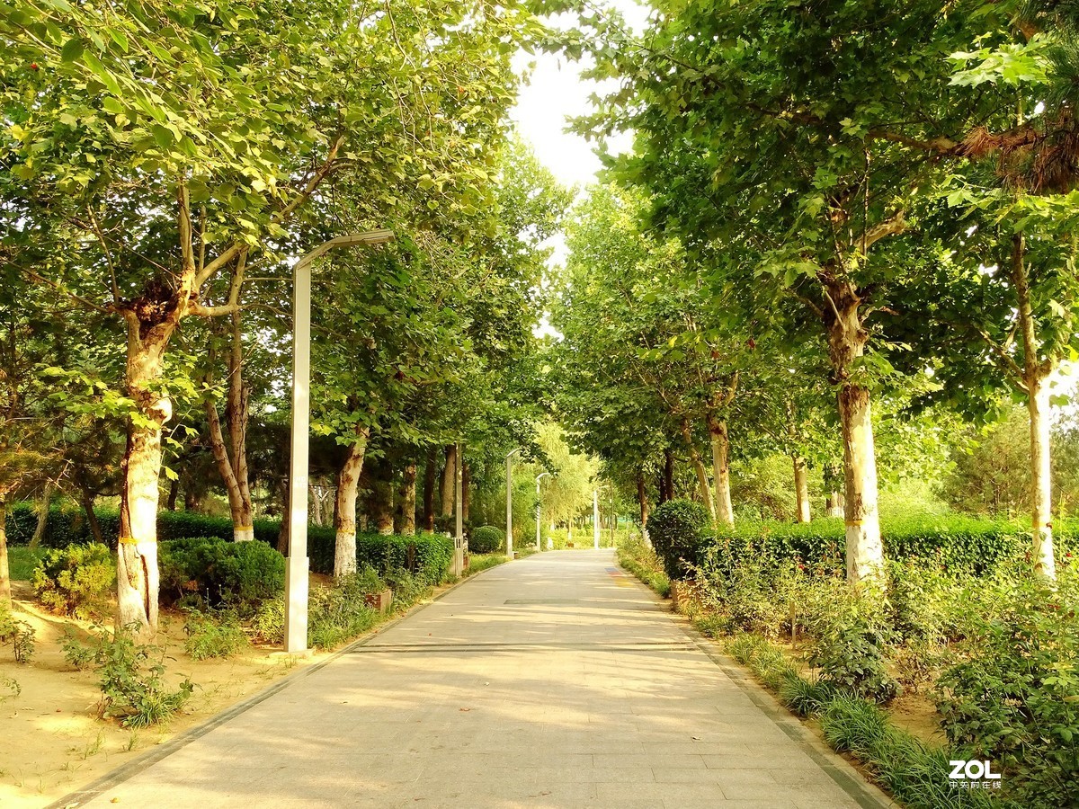 走走拍拍（2019.07.28-1）