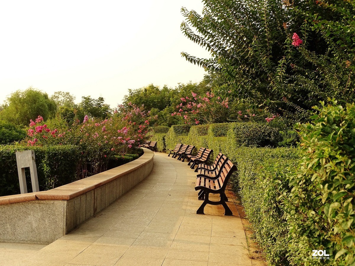 走走拍拍（2019.07.28-1）