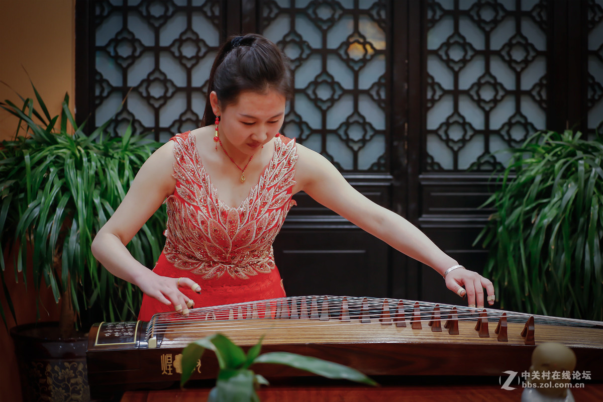 人像【古筝-美女】