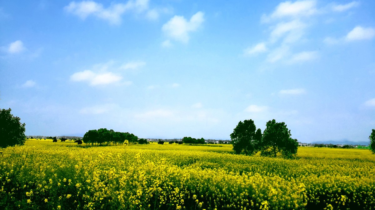 华为p7拍风景