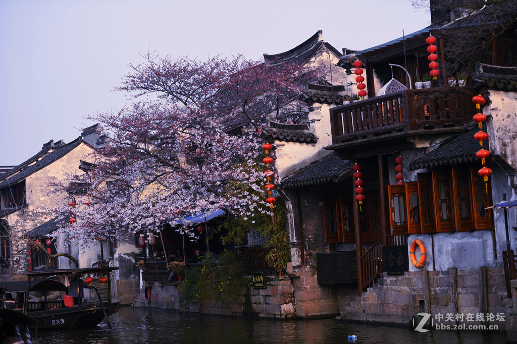 #尼康纪实类作品赏析#【唯有西塘，永不说再见！】 （老阿推荐）