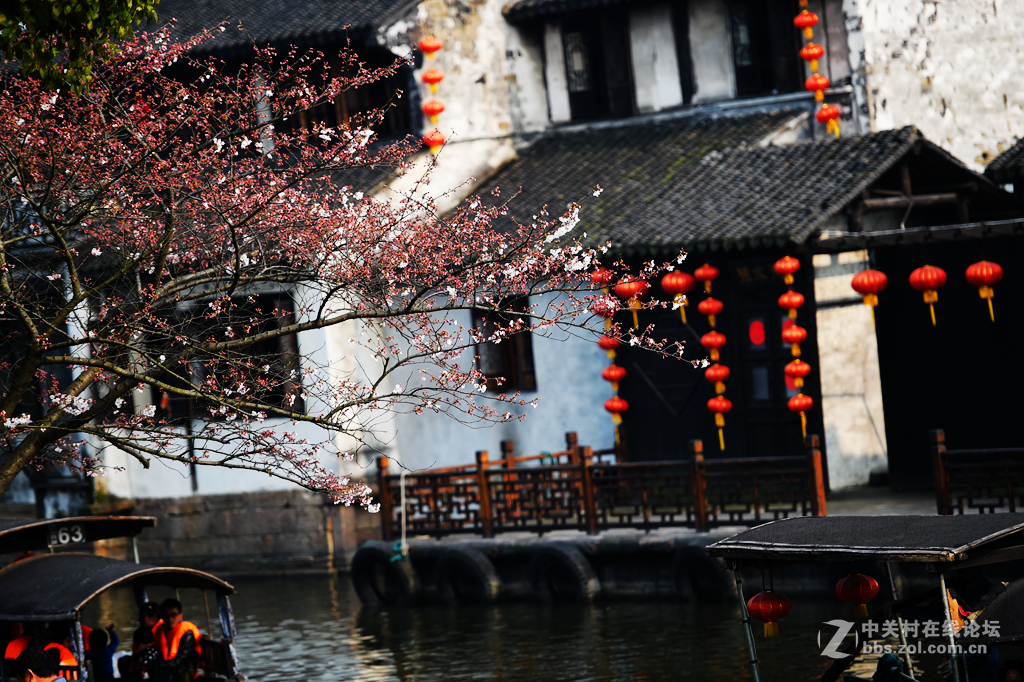 #尼康纪实类作品赏析#【唯有西塘，永不说再见！】 （老阿推荐）