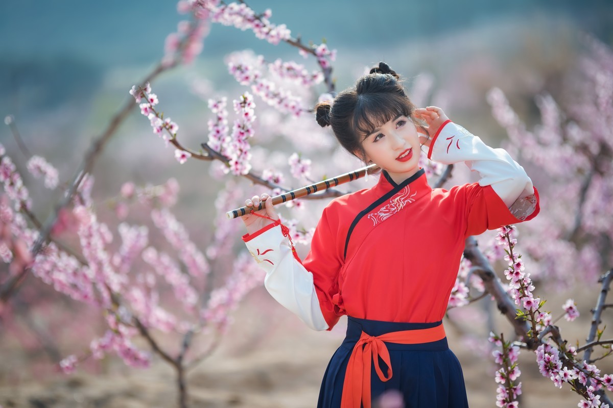 人面桃花相映红