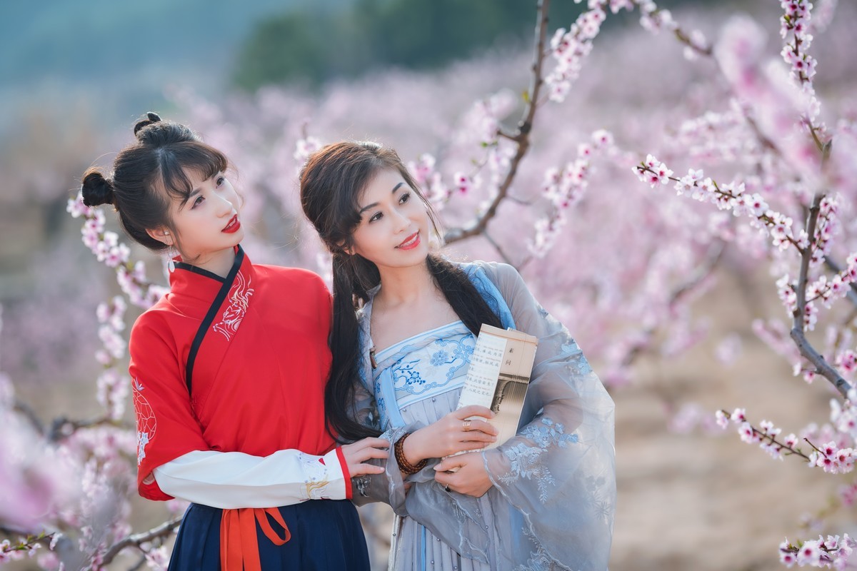 人面桃花相映红