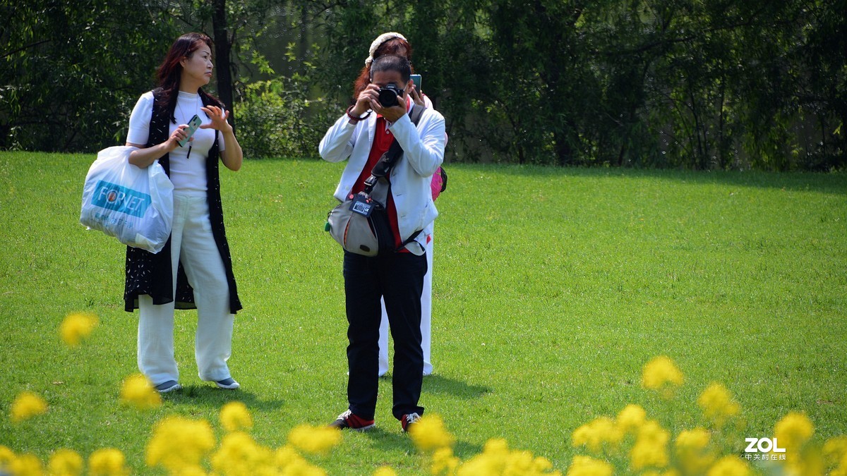 寻访油菜花·——随拍