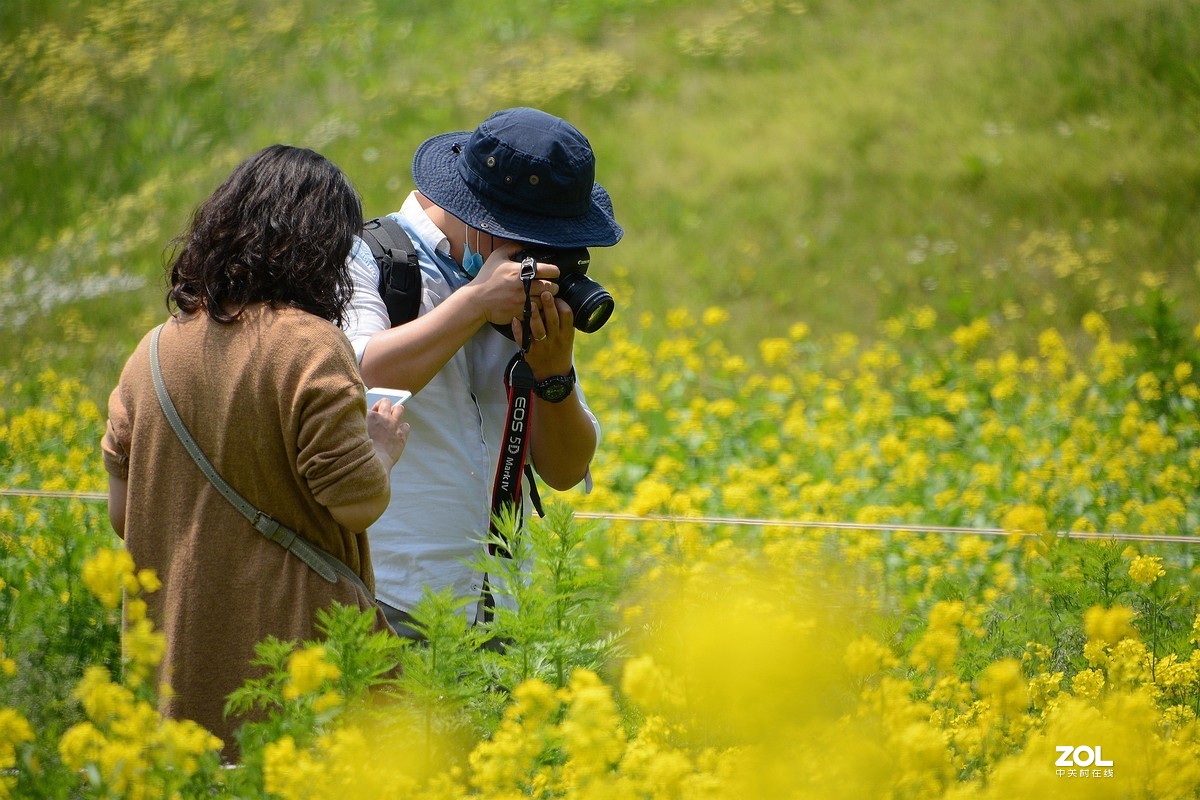 寻访油菜花·——随拍