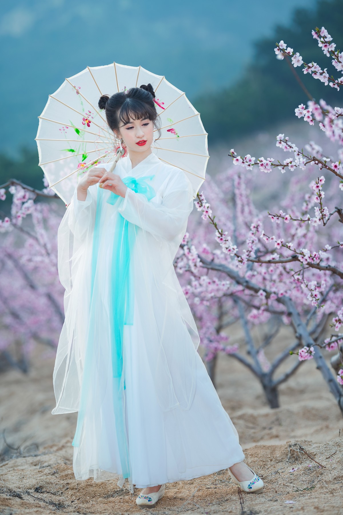 人面桃花相映红