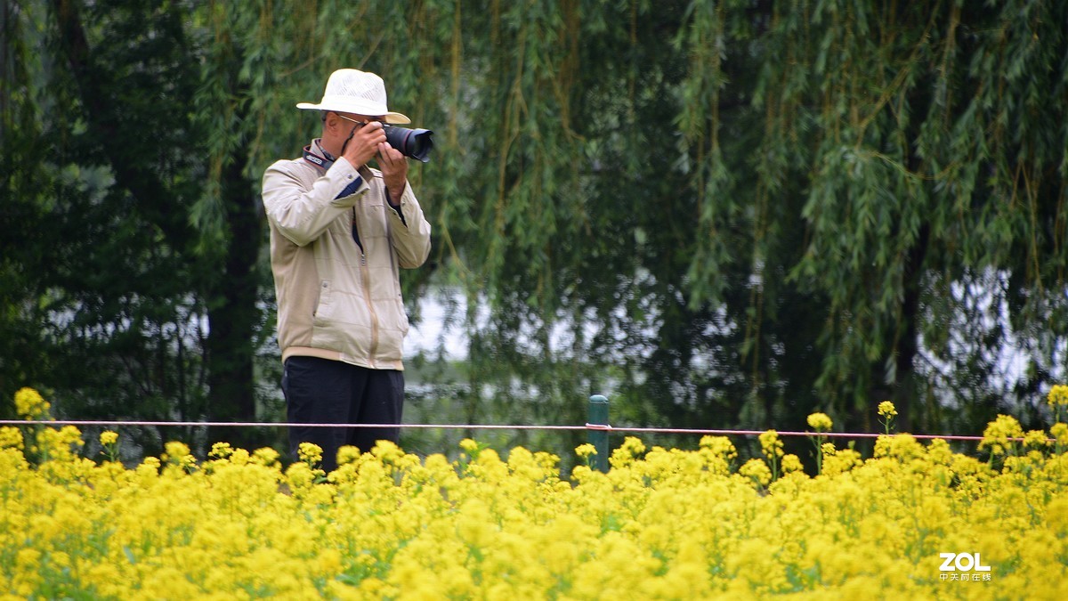 寻访油菜花·——随拍