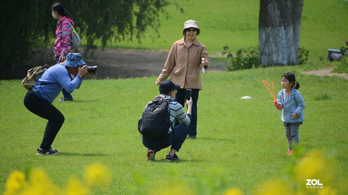 寻访油菜花·——随拍