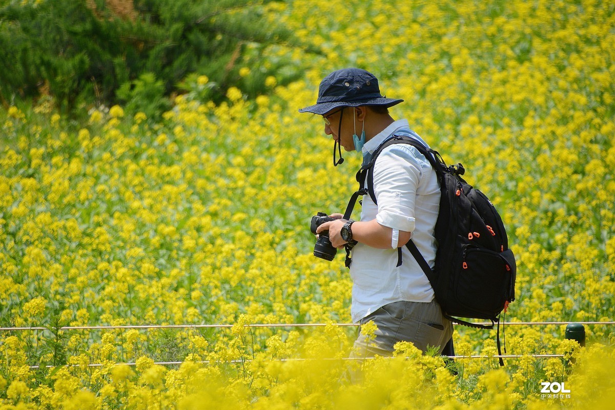 寻访油菜花·——随拍