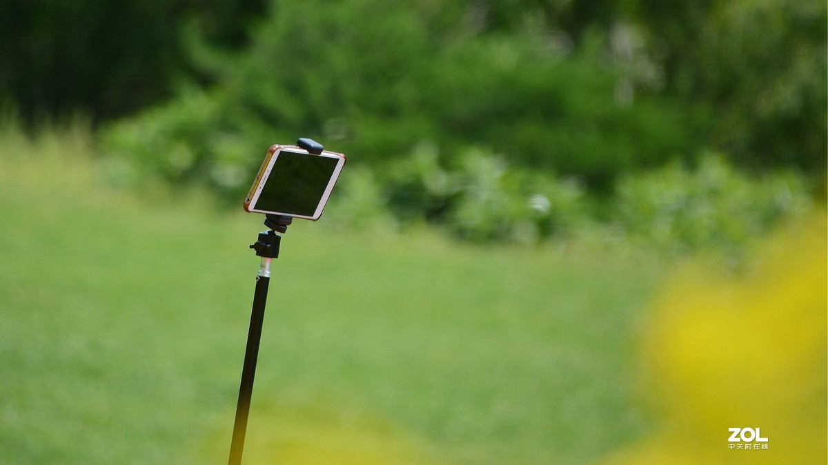 寻访油菜花·——随拍