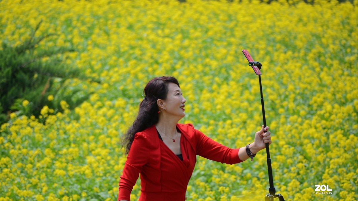 寻访油菜花·——随拍