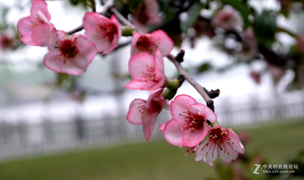 发几张今天拍的pp