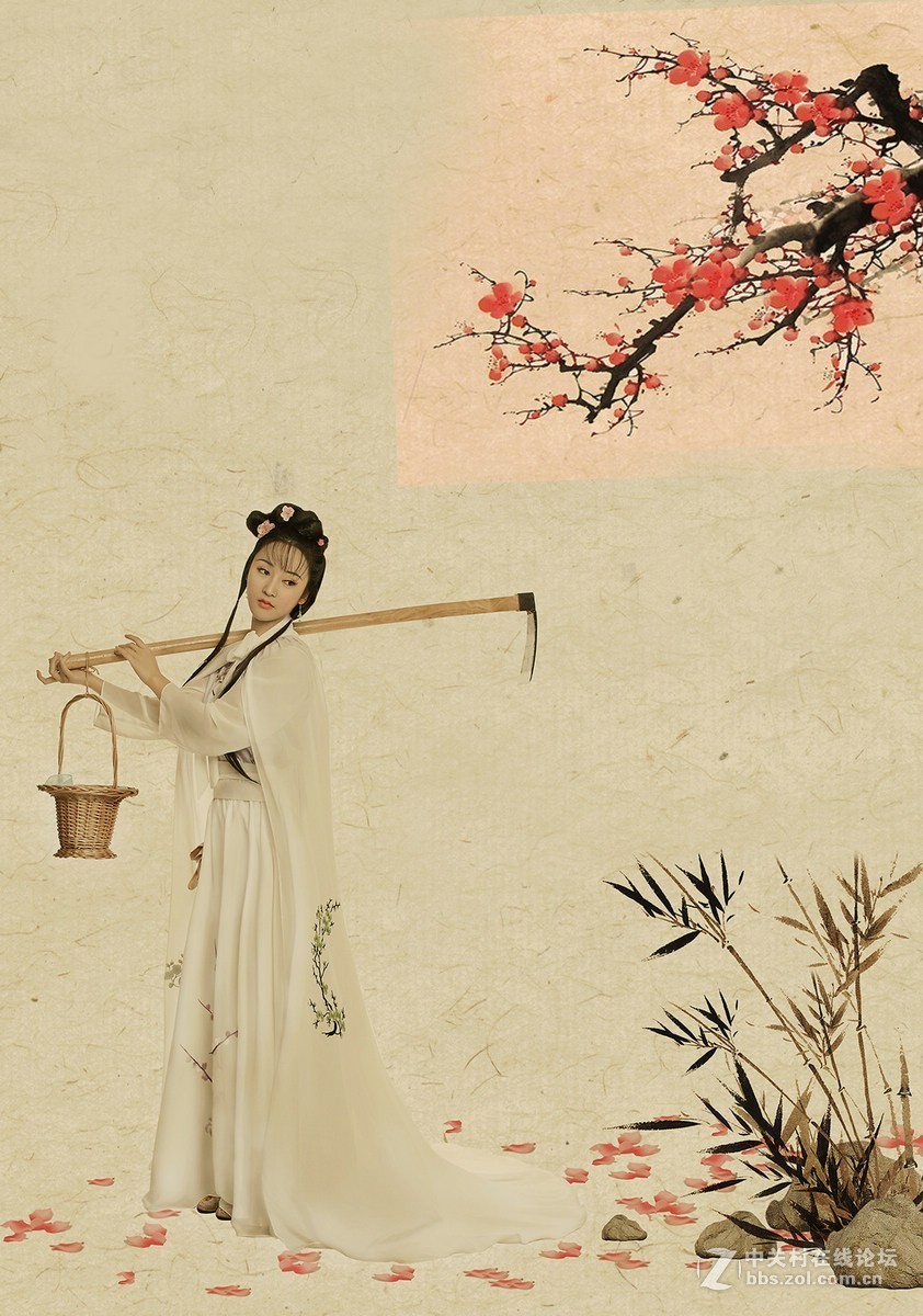 花开花落几番情