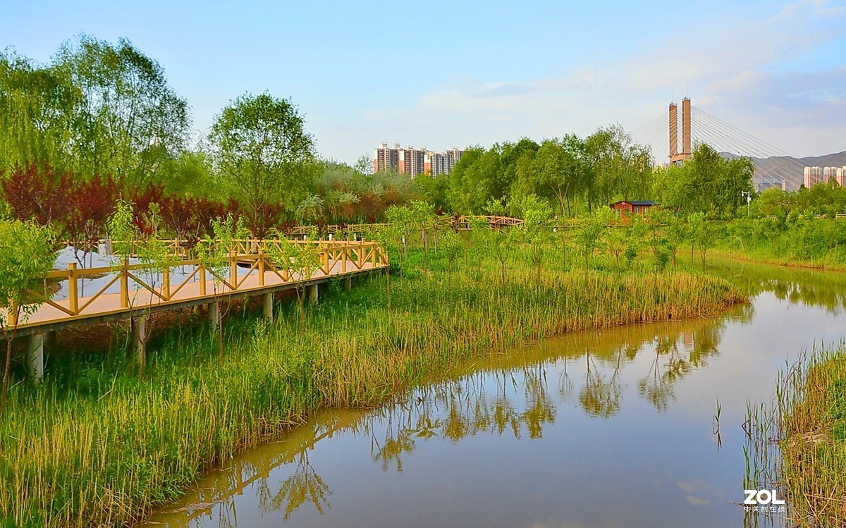 原阳黄河湿地公园图片