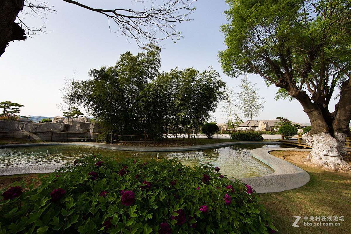 西安中国唐苑第一报——风景