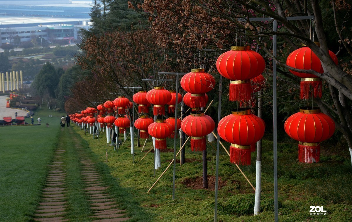 2020春节 长沙到老挝（66）过眼云烟