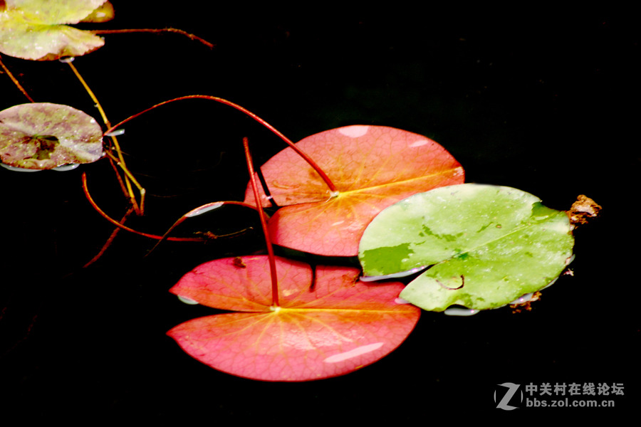 辉县【宝泉风景区】見闻
