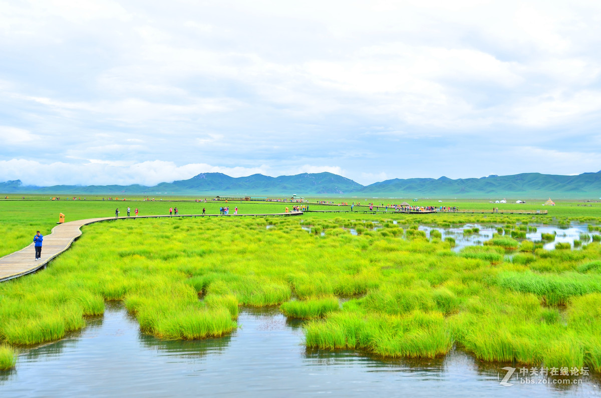 红原湿地红军走过的草地