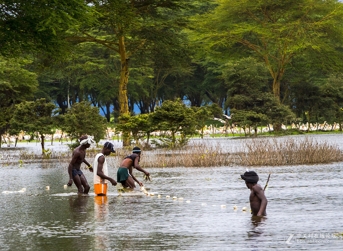坦桑尼亚捕鱼人