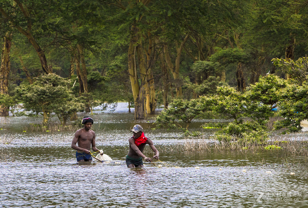 坦桑尼亚捕鱼人