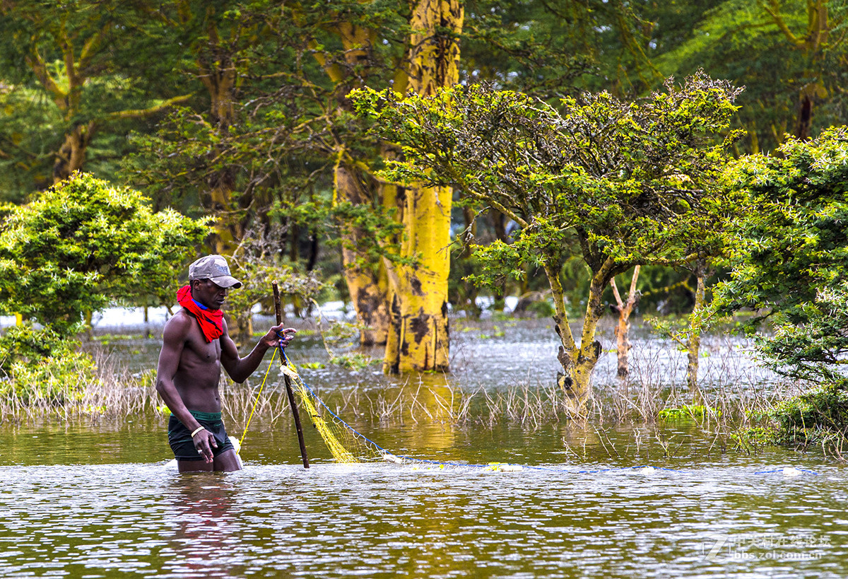 坦桑尼亚捕鱼人