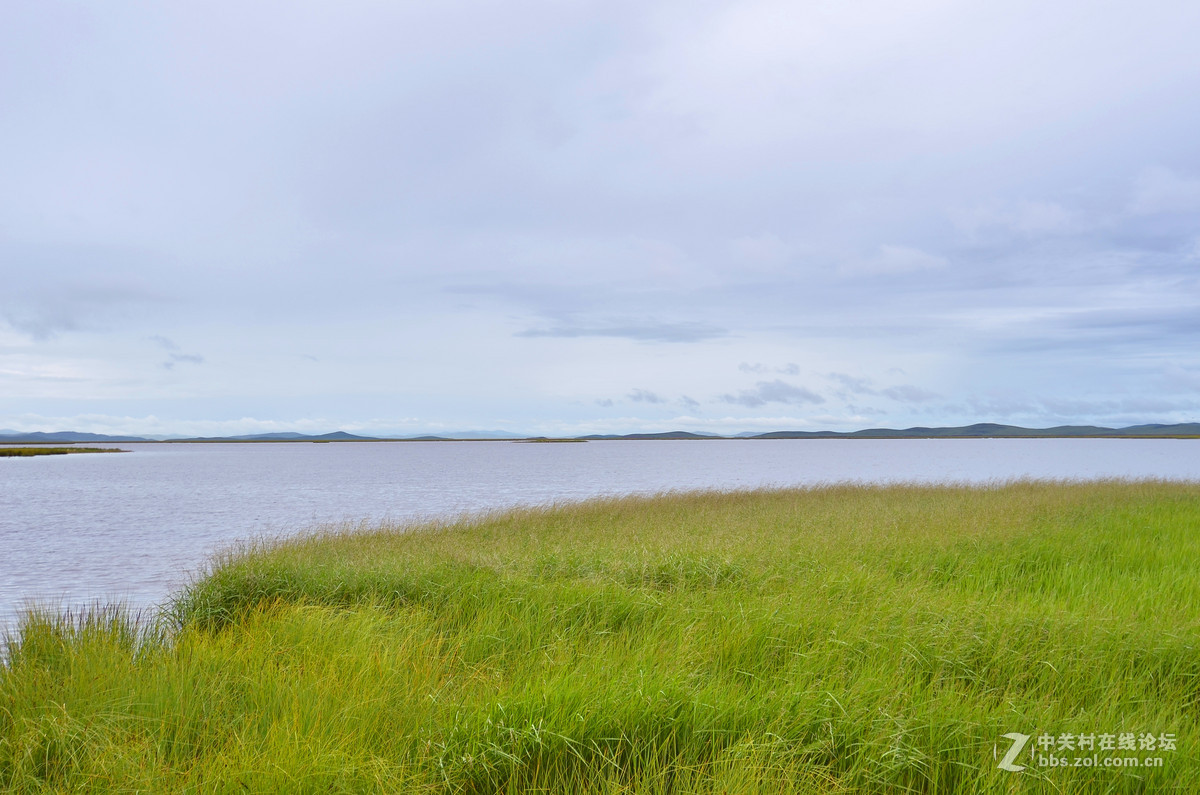 红原湿地红军走过的草地