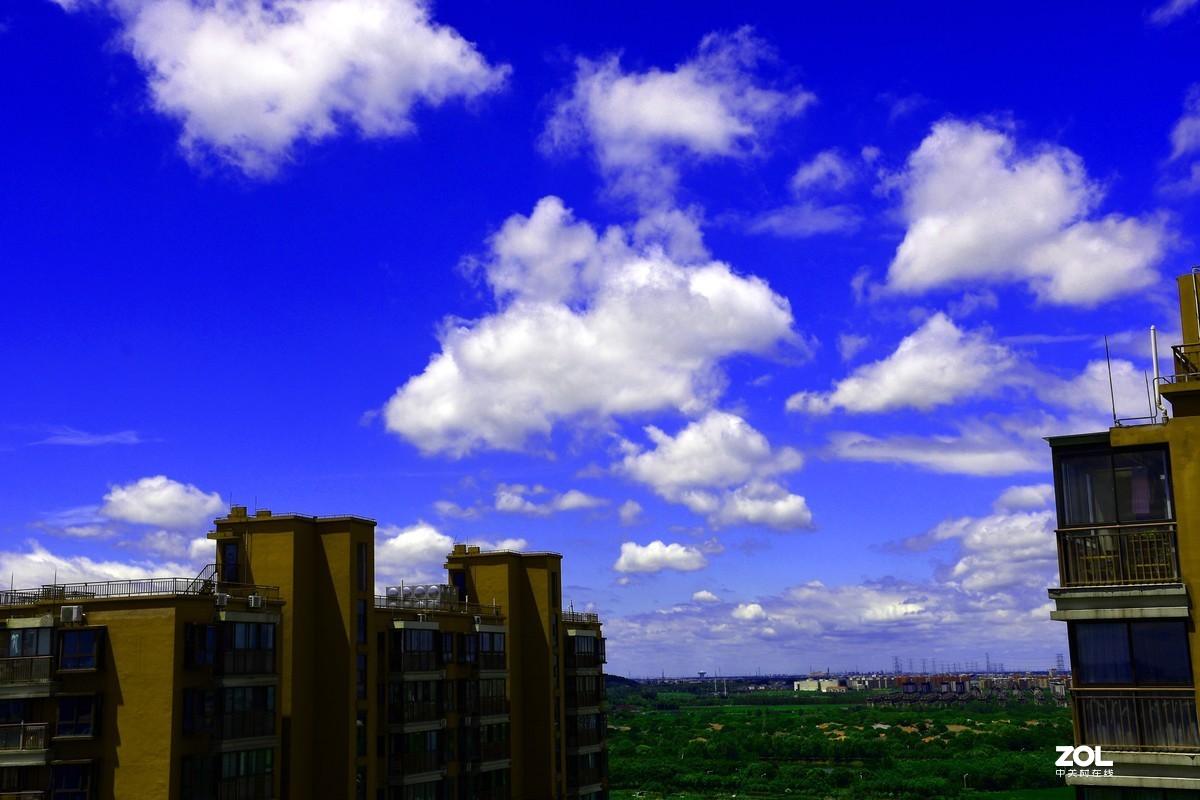 利奇马过境之后【10P】