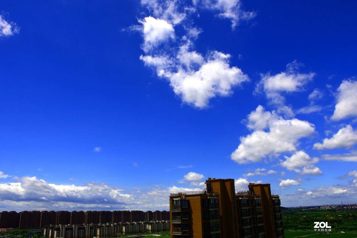 利奇马过境之后【10P】