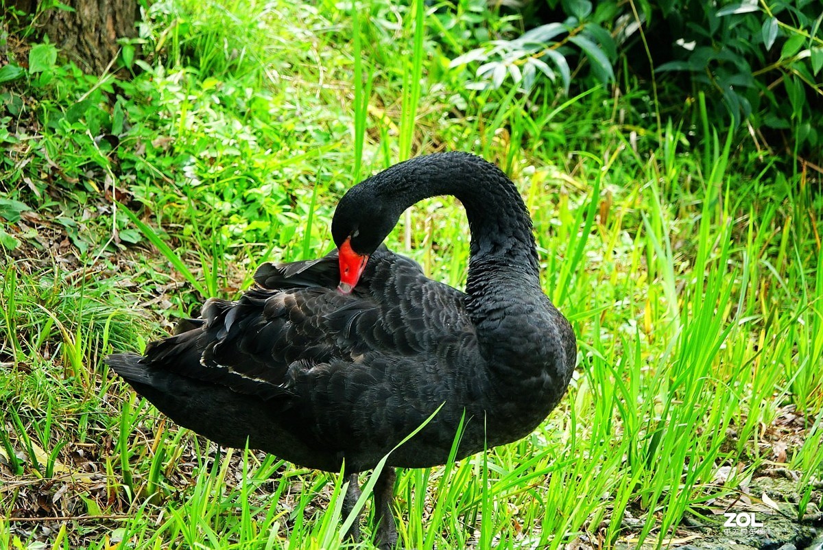 旅游--扬州瘦西湖《13》