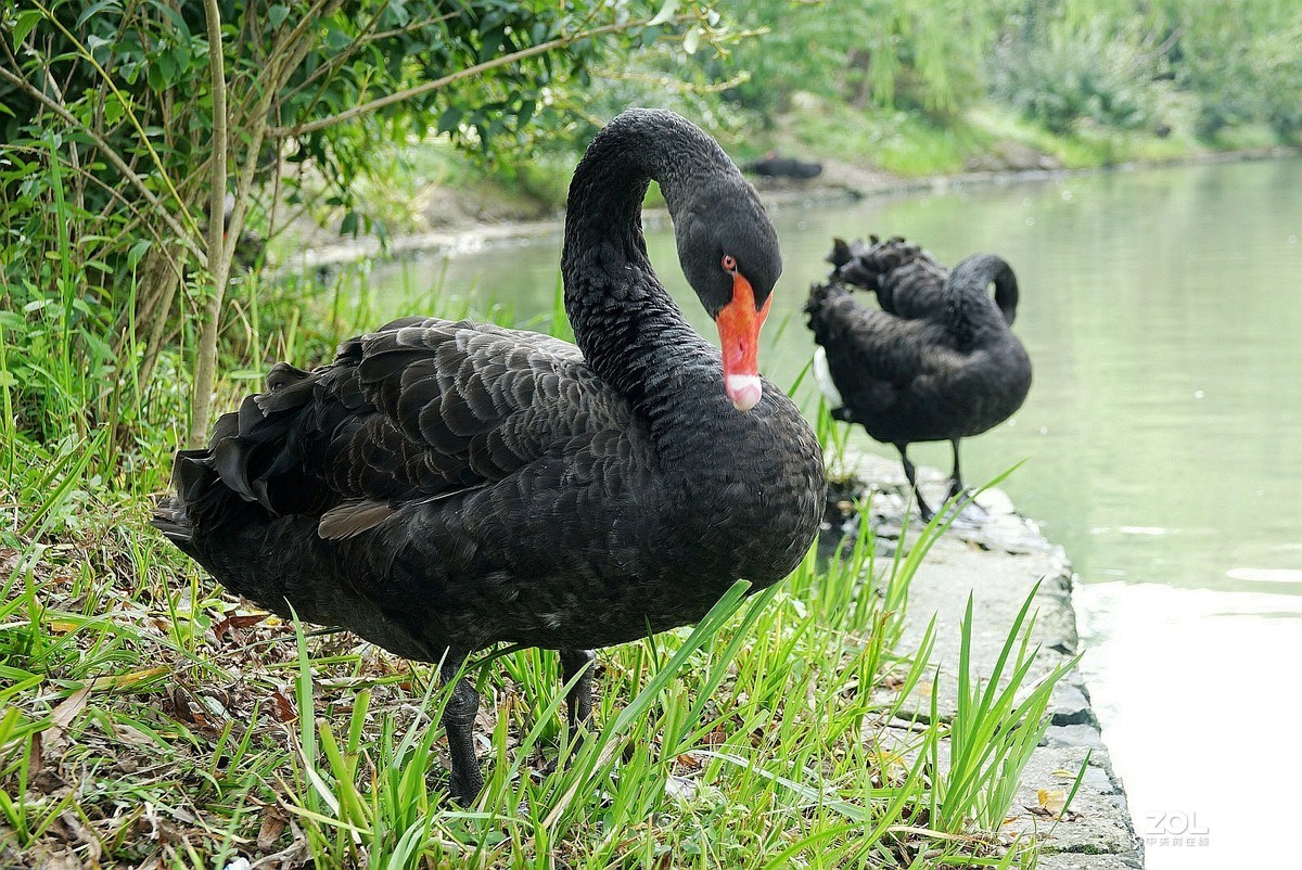 旅游--扬州瘦西湖《13》