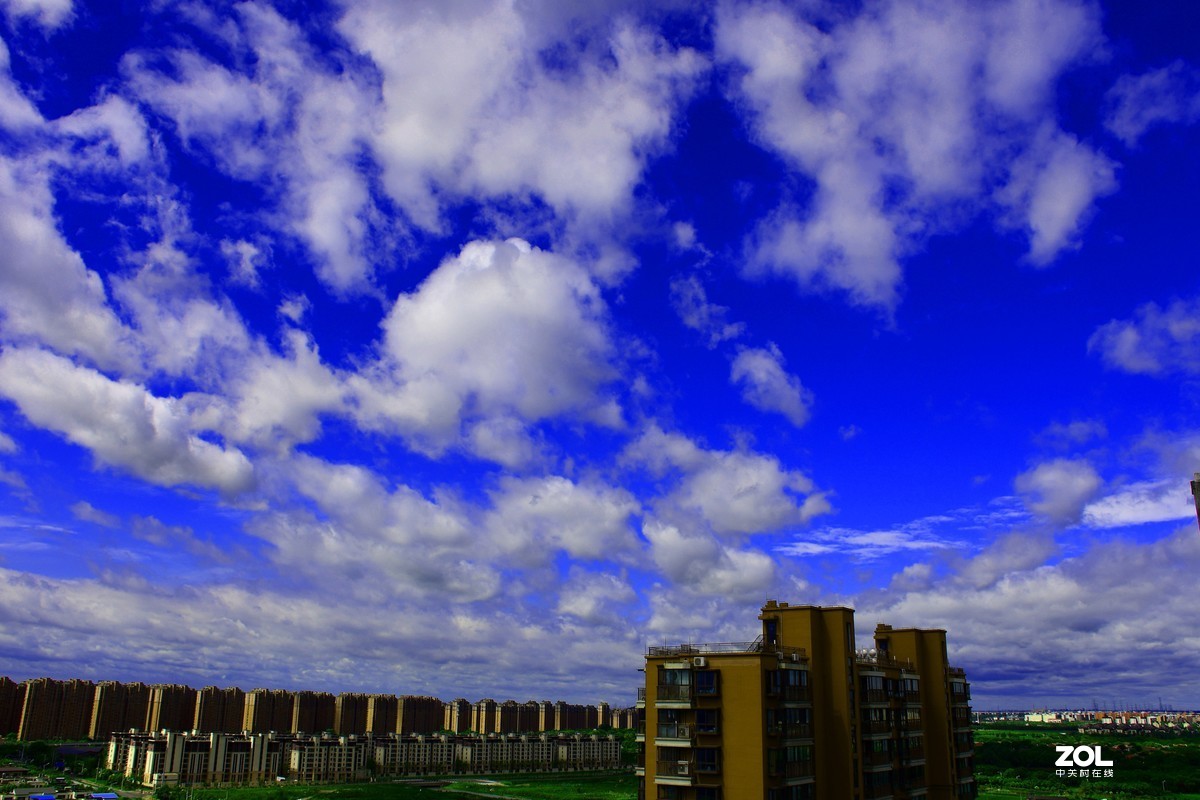 利奇马过境之后【10P】