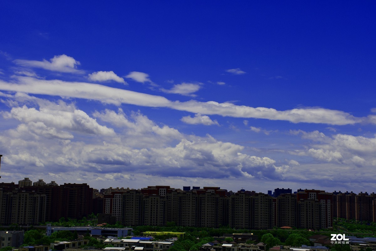 利奇马过境之后【10P】