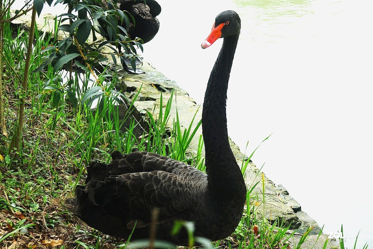 旅游--扬州瘦西湖《13》