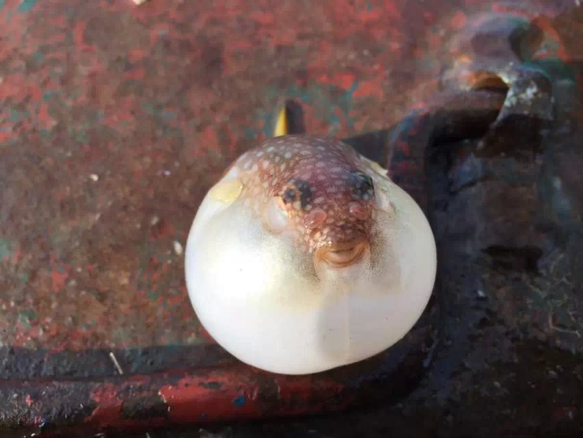 航海 随拍  碧海蓝天