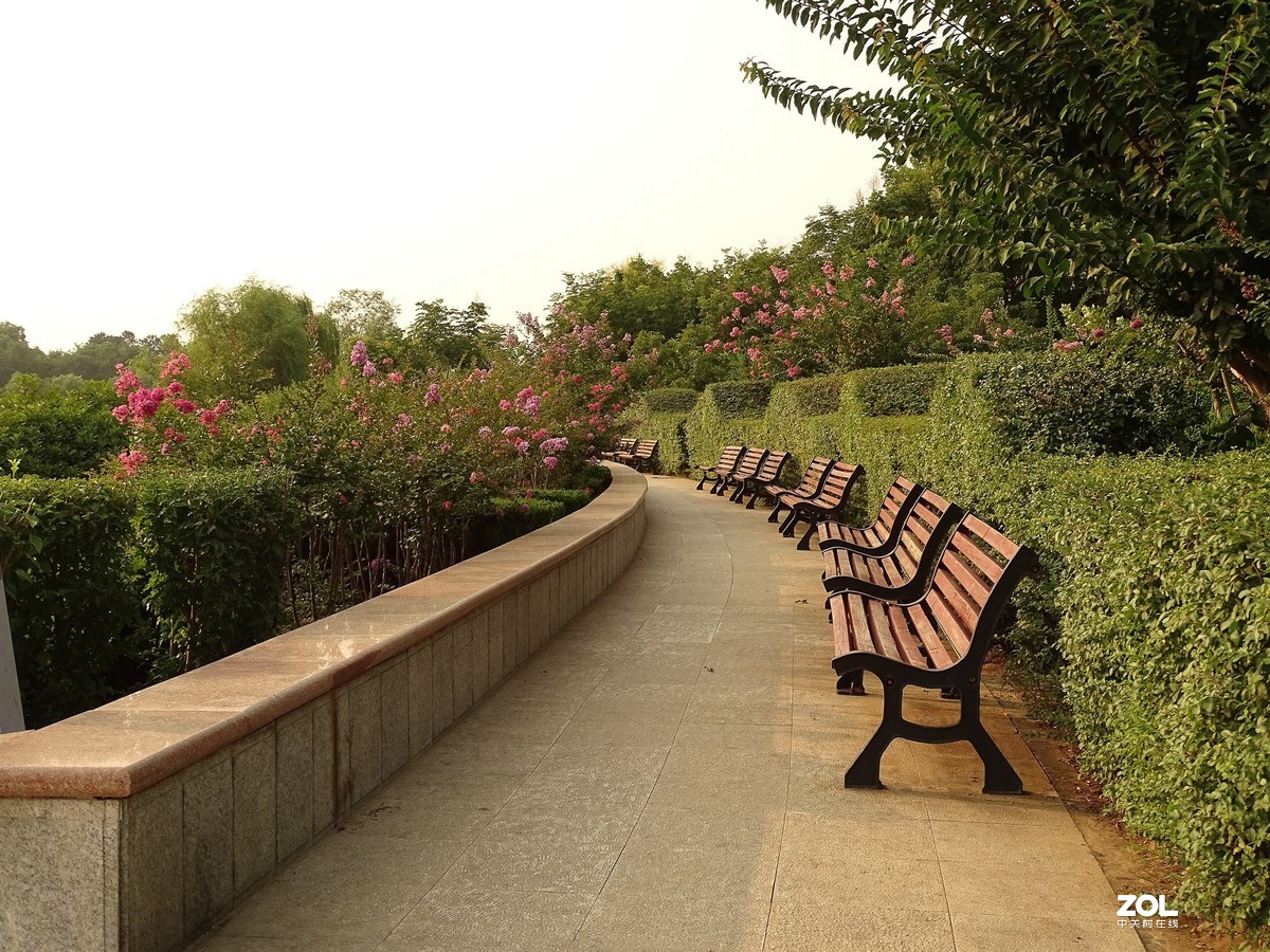 走走拍拍（2019.07.28-2）